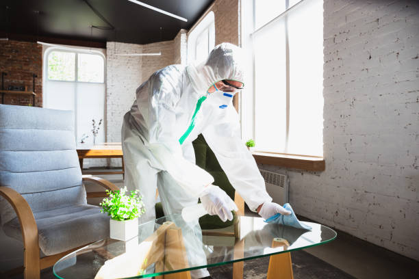 Why You Should Choose Our Mold Remediation Services in Crisfield, MD